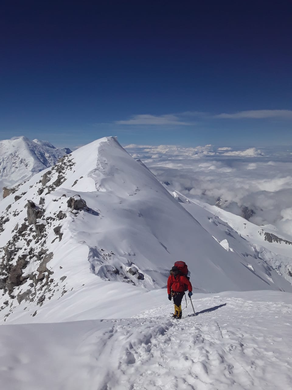 Denali